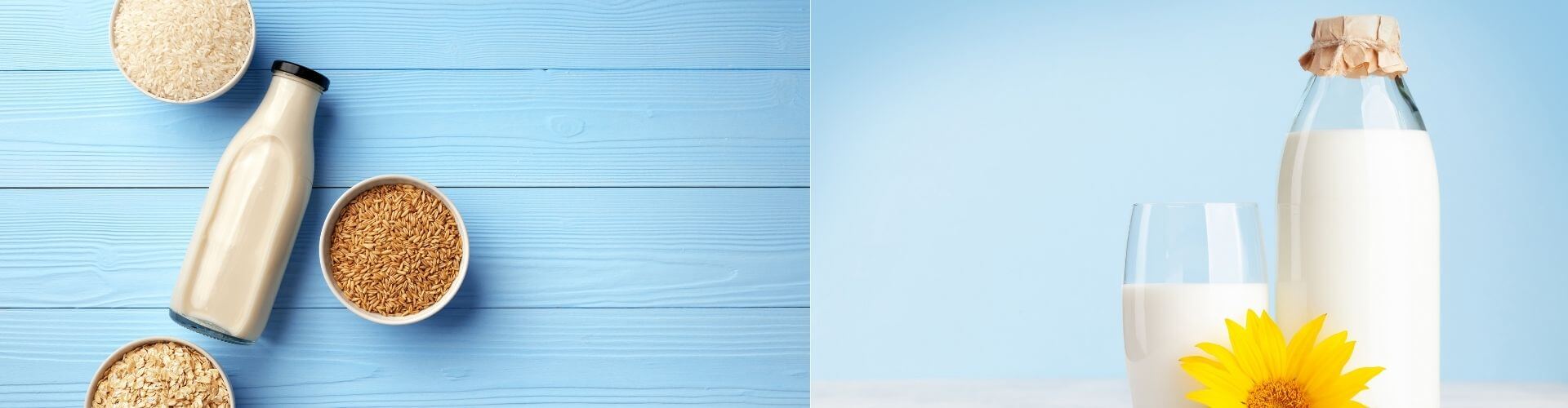 Glass Milk Bottles Wholesales and Suppliers